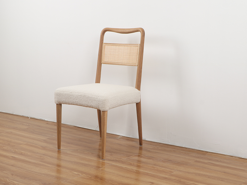 Dining chair (15)